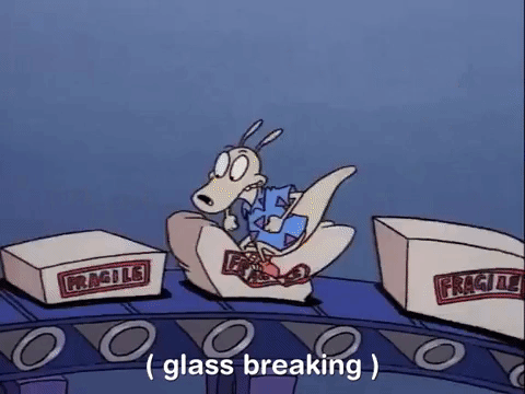 Glass Breaking Rocko's Modern Life GIF