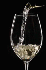 Glass Of Sparkling Delight Prosecco GIF