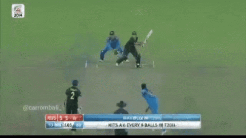 Glenn Maxwell Catches Dead Ball GIF