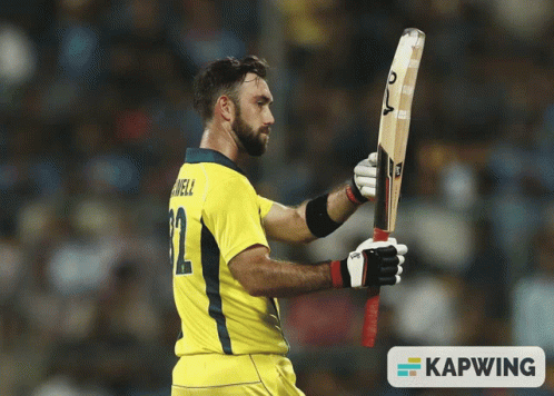 Glenn Maxwell Inspects Cricket Bat GIF