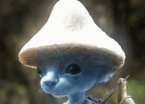 Glitching Effect Smurf Cat Meme GIF