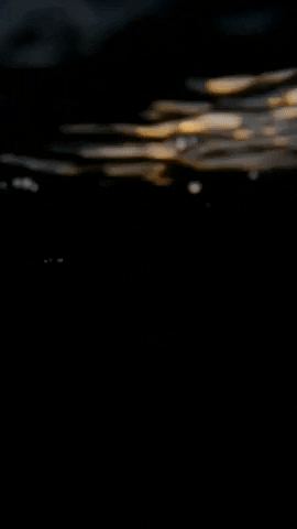 Glitter Like Ocean Waves GIF