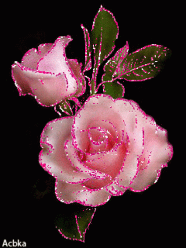 Glittery Pink Rosas GIF