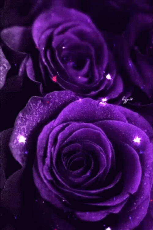 Glittery Violet Dark Floral Flower GIF