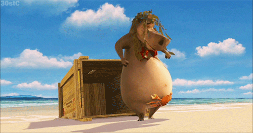 Gloria The Hippo Summer Vacation GIF