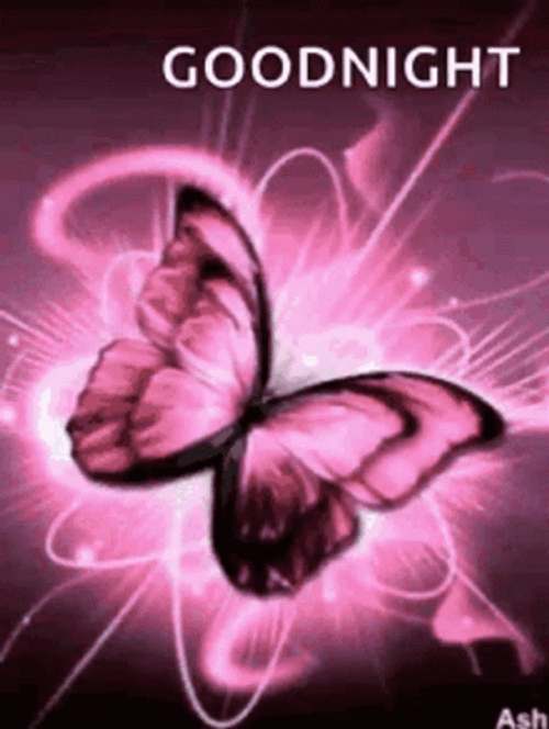 Glowing Pink Good Night Butterflies GIF