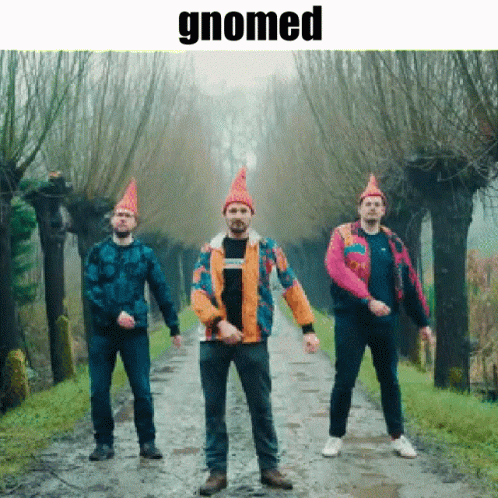 Gnome Band Wenceslas Official Video GIF