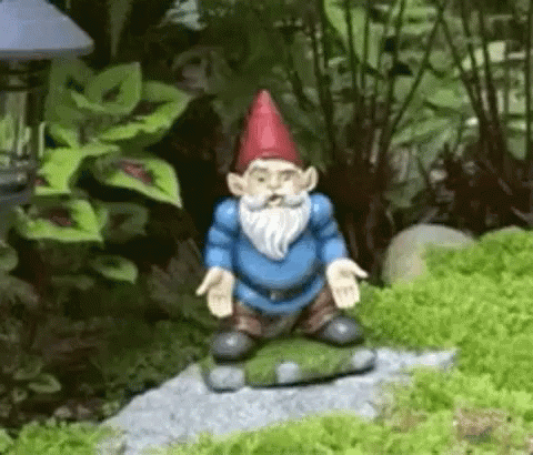 Gnome Norm The Lawn Figure Seriously GIF