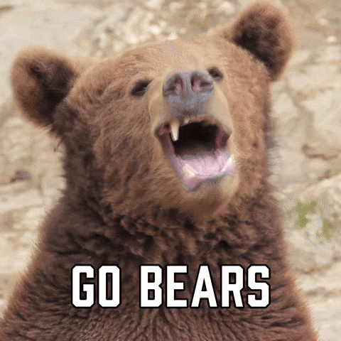 Go Bears Chicago Bears GIF