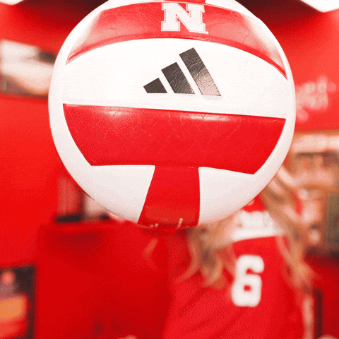 Go Big Volleyball Ball Red GIF