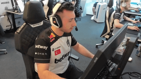 Go Big Webcam GIF