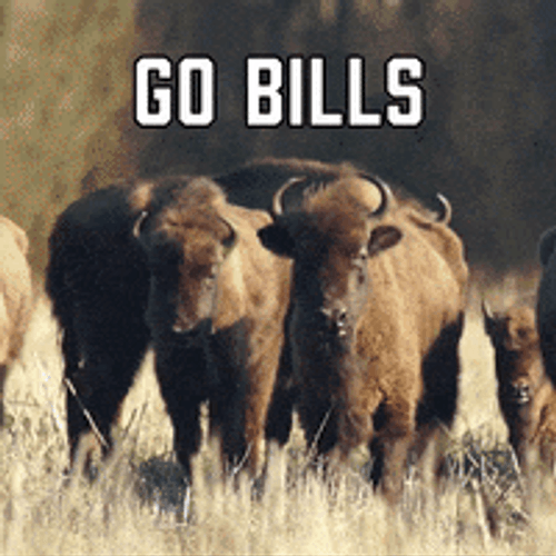 Go Bills Buffalo Line Up GIF