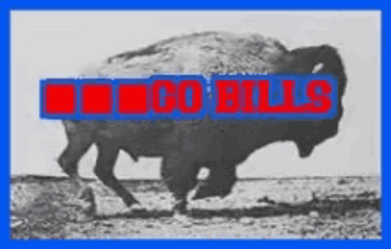 Go Bills Buffalo Running GIF