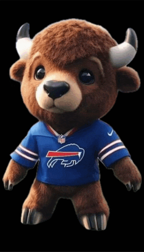 Go Bills Go Buffalo Bills Meme GIF