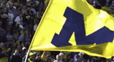 Go Blue Michigan Flag Waving GIF
