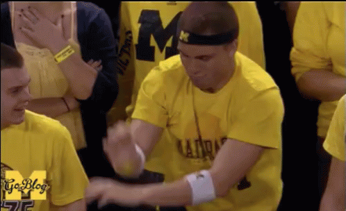 Go Blue Michigan Fan Cheer GIF