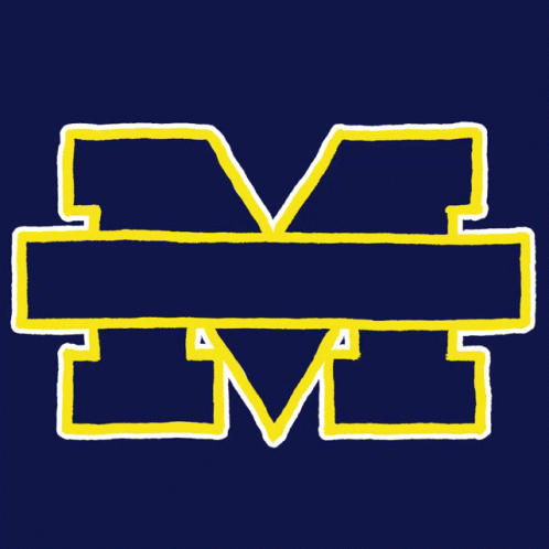 Go Blue Go Vote GIF