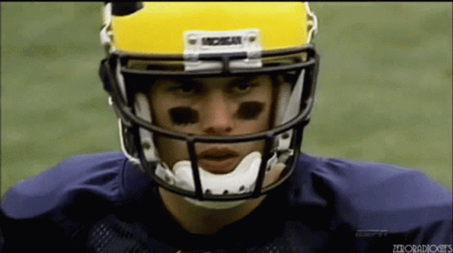 Go Blue GIF