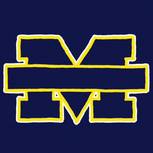 Go Blue Go Vote GIF