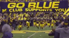 Go Blue Michigan Club Supports You Banner GIF