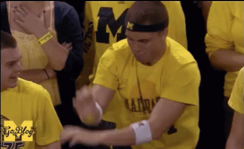 Go Blue Michigan Fan Cheer GIF
