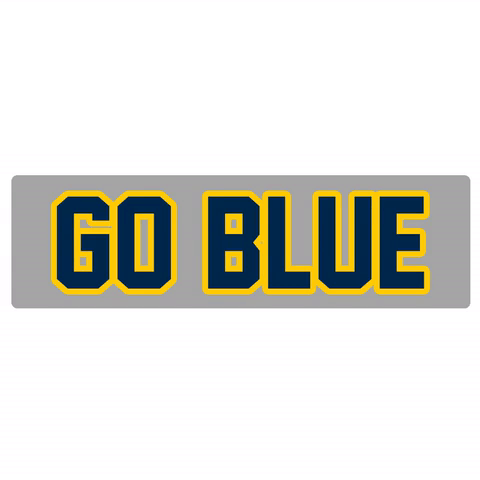 Go Blue Michigan Wolverines GIF