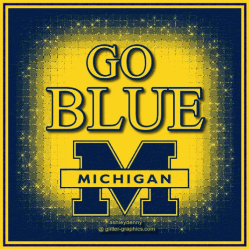 Go Blue GIF