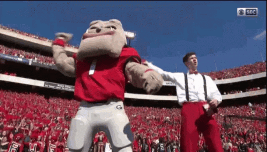 Go Dawgs Cheering Mascot GIF