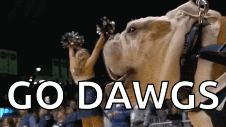 Go Dawgs Cute Dog Barking GIF