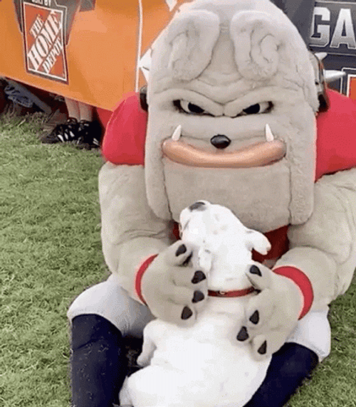 Go Dawgs Cute Mascot And Bulldog GIF
