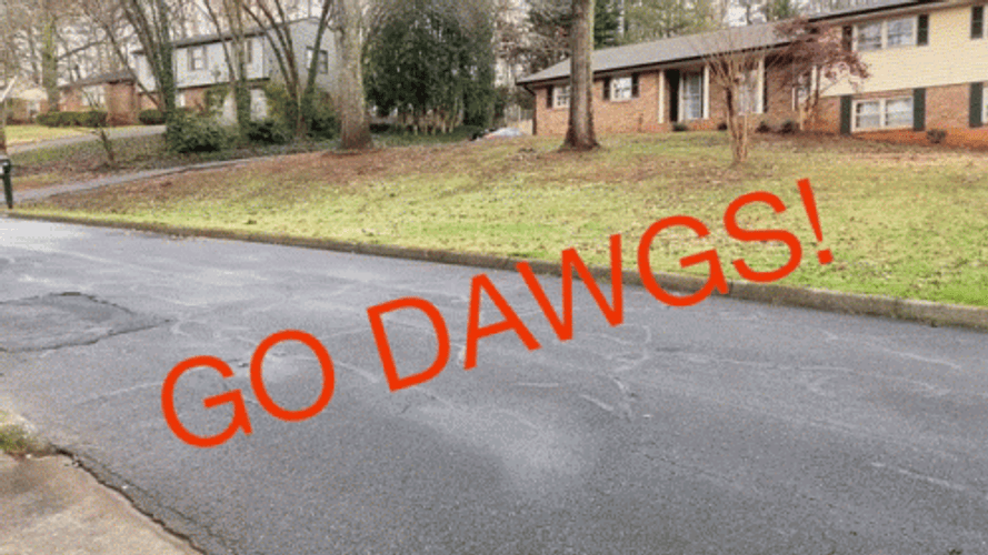 Go Dawgs Flag In A Scooter GIF