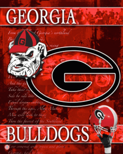 Go Dawgs Georgia Bulldogs GIF