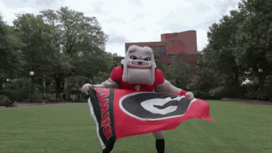 Go Dawgs Mascot With Flag GIF
