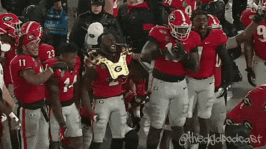 Go Dawgs GIF