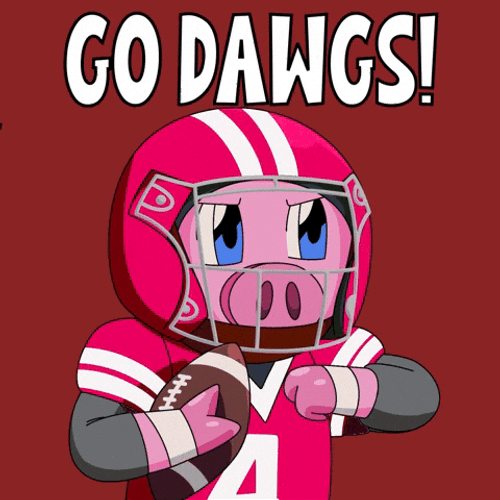 Go Dawgs Pig Wearing Football Uniform GIF
