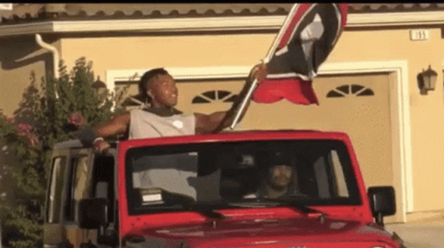 Go Dawgs Waving Flag In A Car GIF