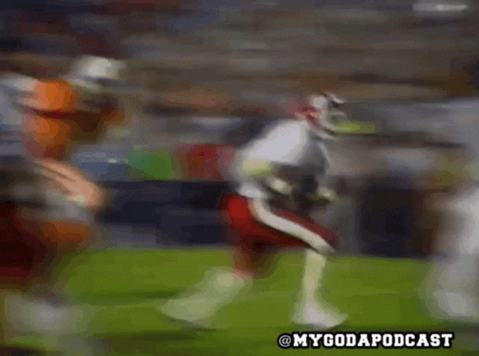 Go Dawgs GIF