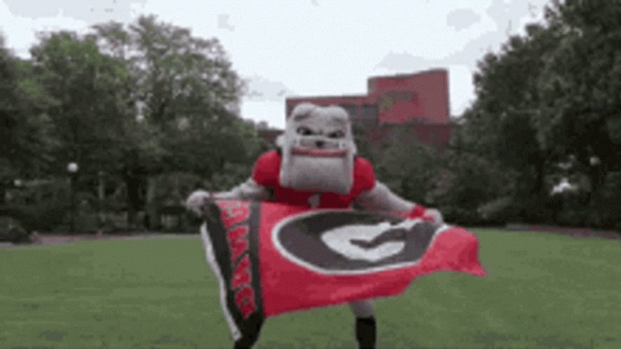Go Dawgs GIF