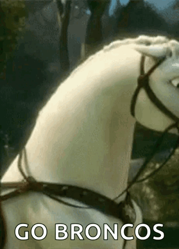 Go Denver Broncos Tangled Horse Maximus GIF