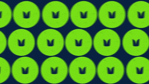 Go For Gold Seattle Seahawks GIF