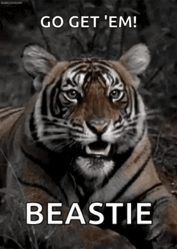 Go Get Em Beastie GIF