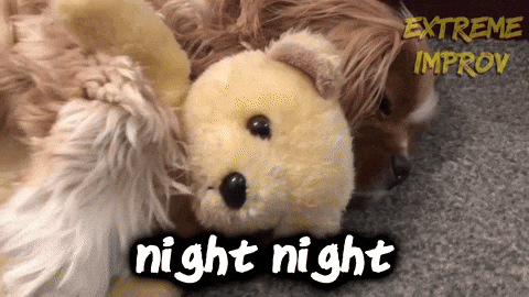 Go Night Night Dog Hugging Teddy Bear GIF