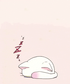 Go Night Night Sleeping Cat GIF