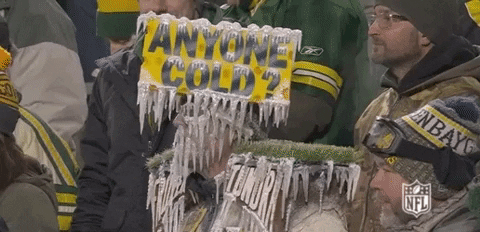 Go Pack Go Frozen Green Bay Packers GIF