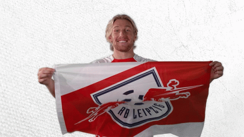 Go Team Emil Frosberg Shaking Flag GIF