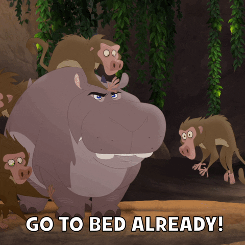 Go To Bed Hippo And Monkeys GIF