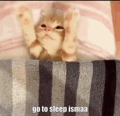 Goodnight Kitten Go To Sleep GIF