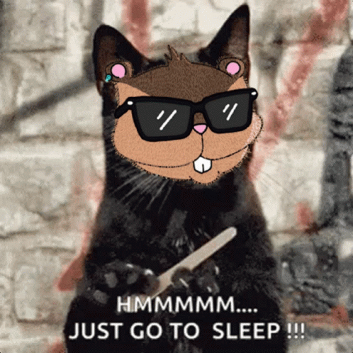 Koda Bedtime Go To Sleep GIF