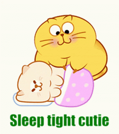 Go To Sleep Egg Yolk Cat GIF