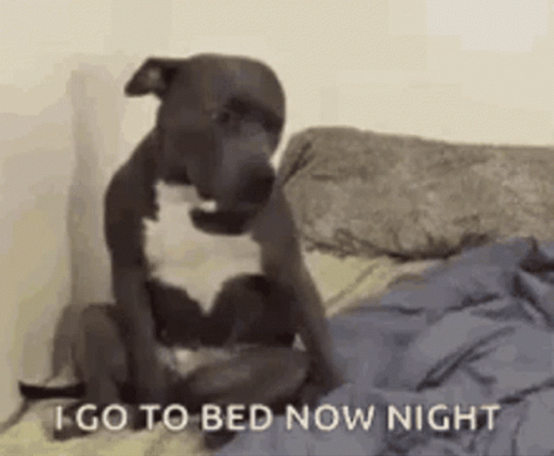 Go To Sleep Too Early GIF